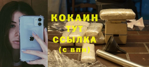 PSILOCYBIN Гусев