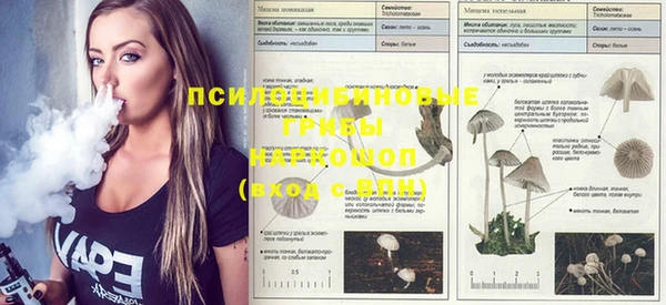 PSILOCYBIN Гусев