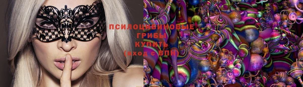 PSILOCYBIN Гусев