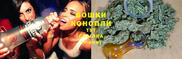 a pvp Гусь-Хрустальный