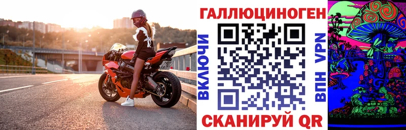 Купить закладки  Искитим  Псилоцибиновые грибы мицелий 